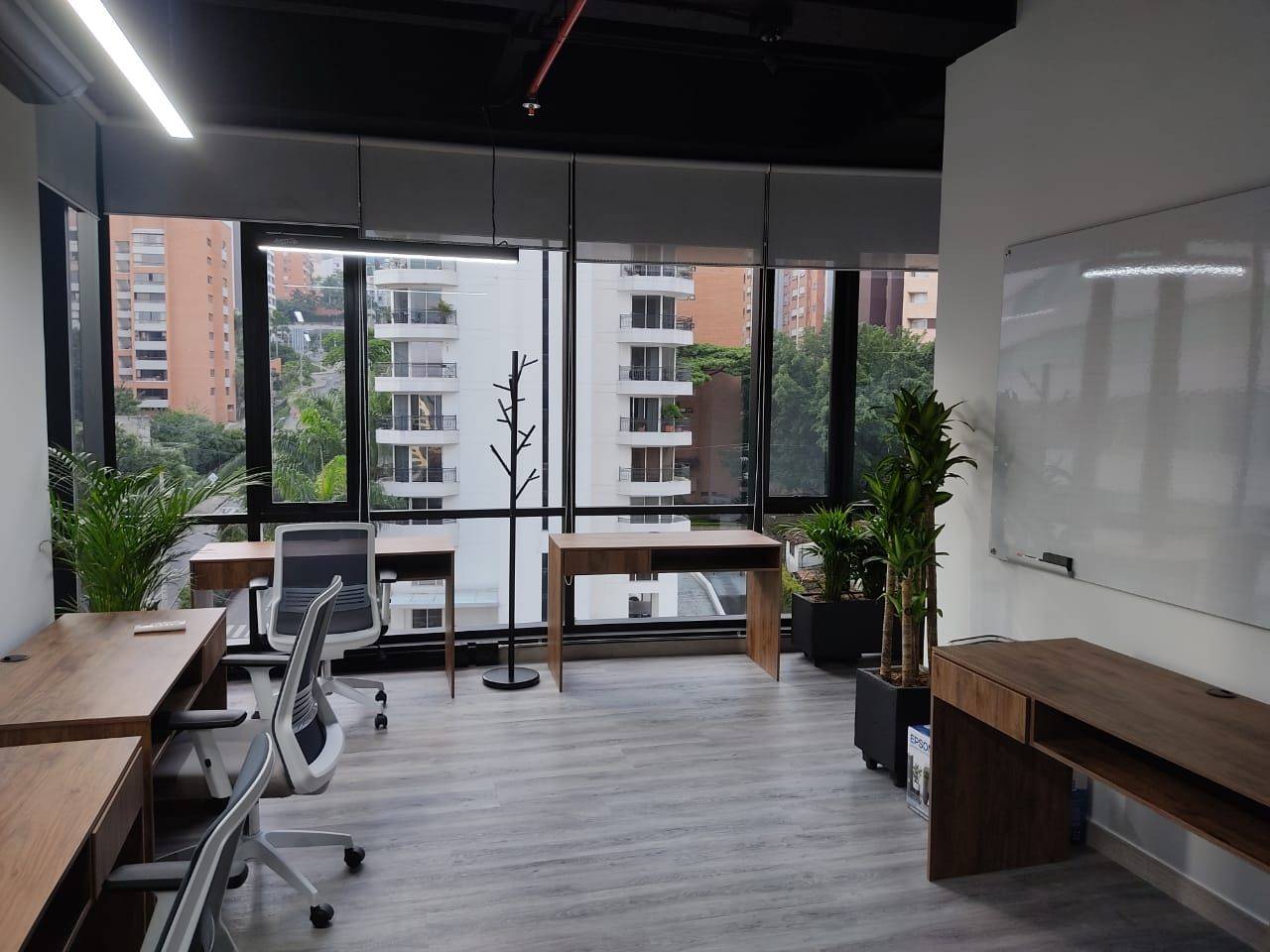 Consultoría